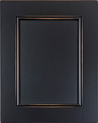 Black Specialty Panel Door PA