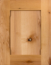 Flat Panel Cabinet Door PA